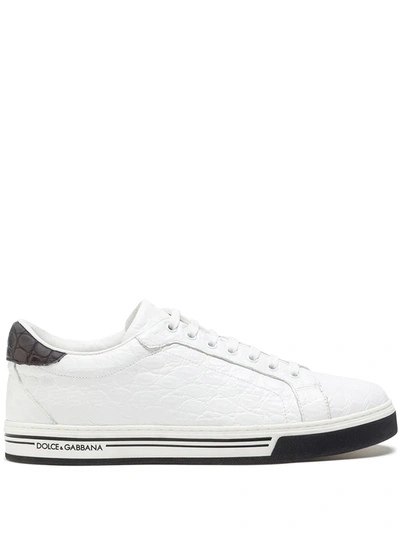 Dolce & Gabbana Hand-polished Crocodile Skin Side Roma Sneakers In White/black