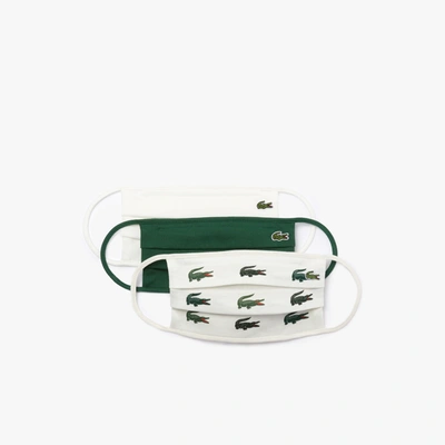 Lacoste Unisex L.12.12 Cotton Face Masks 3-pack - M In Green