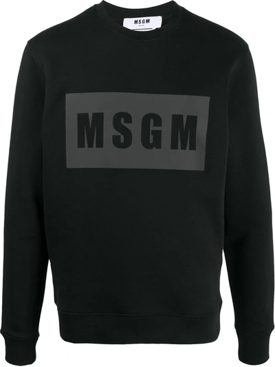 Msgm Box Logo Cotton Sweatshirt In Black