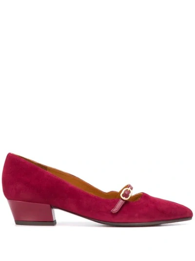 Chie Mihara Dressing Gownl Ballet Flats In Bordeaux Suede