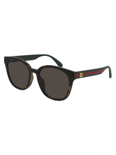 Gucci Gg0855sk Sunglasses In Brown
