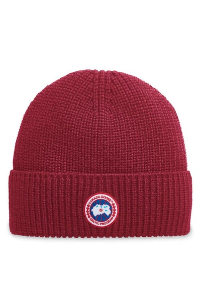 Canada Goose Arctic Disc Ribbed Toque Beanie In Wild Berry