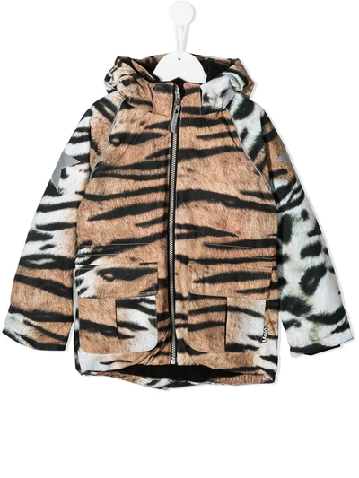 Molo Kids' Tiger-print Hooded Jacket In Neutrals