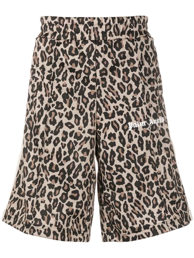 Palm Angels Leopard Print Track Shorts In Brown
