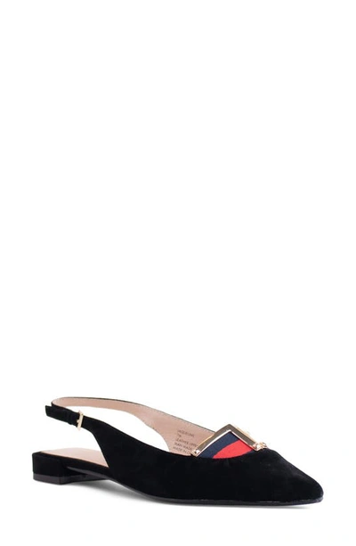 Cecelia New York Jacqueline Slingback Pointed Toe Flat In Black Suede Leather