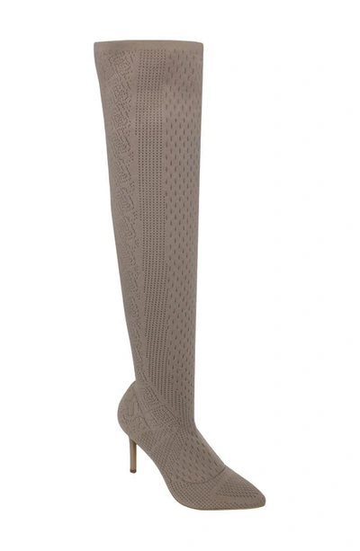 Charles By Charles David Version Pointed Toe Over The Knee Boot In Dark Taupe Fabric