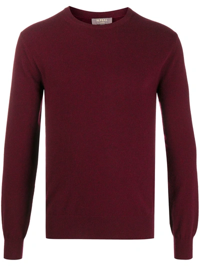 N•peal Long Sleeve Ribbed Knit Jumper In Red