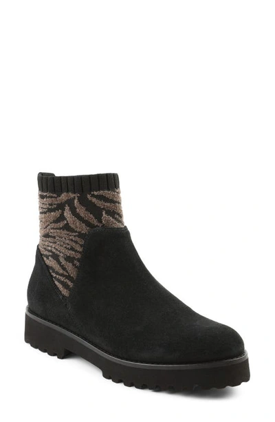 Andre Assous Sara Boot In Black/ Zebra Print Suede