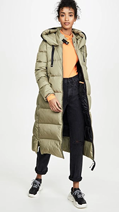 Parajumpers Panda Quilted Nylon Hooded Down Jacket In Dried Herb