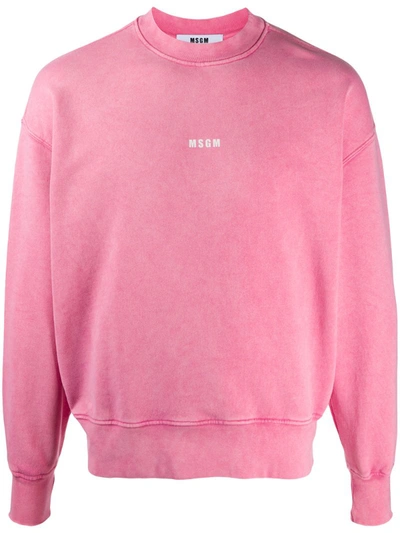 Msgm Micro Logo Cotton Sweatshirt In Pink