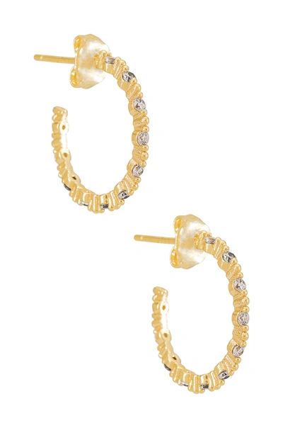 Natalie B Jewelry Britta Hoop Earring In Gold