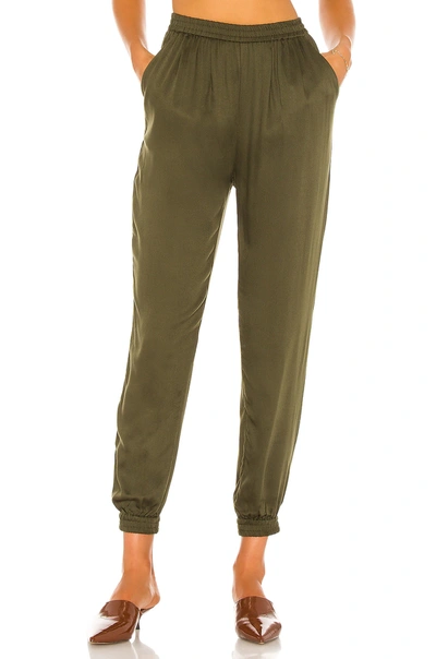 Indah Pierre Pant In Cactus