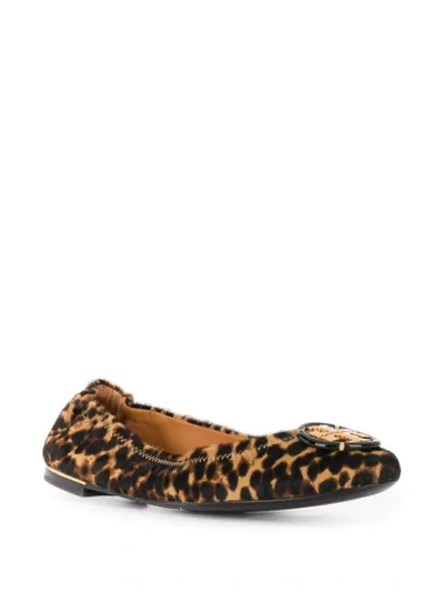 Tory Burch Minnie Ballet Flats With Multi Logo In Barbados Leopard