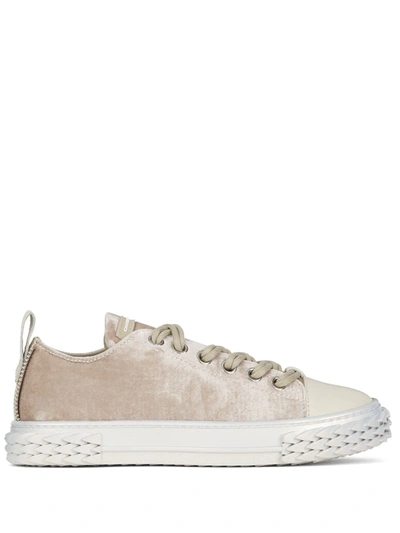 Giuseppe Zanotti Blabber Velvet Sneakers In Grey