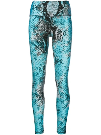 Msgm Snake Print High-waist Leggings In Blue