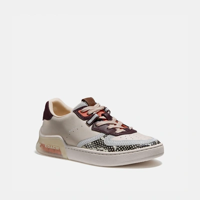 Coach Citysole Court Sneaker In Snakeskin In Multi