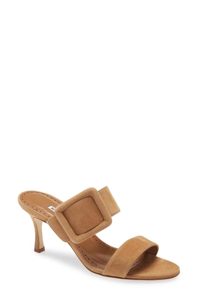 Manolo Blahnik Gable Buckle Slide Sandal In Brown