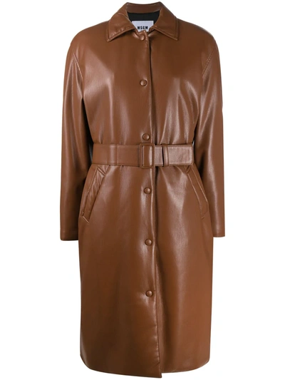 Msgm Belted Single-breasted Coat In Brown