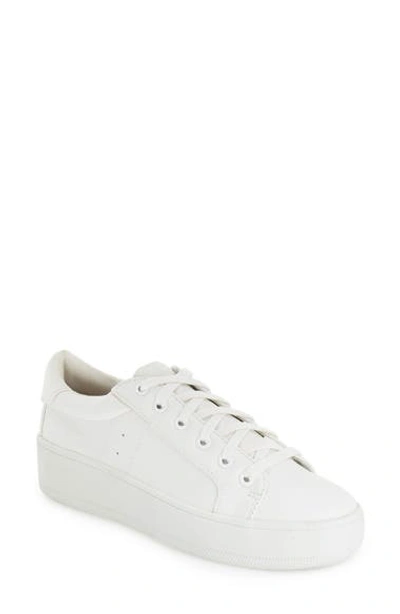 Steve Madden Women's Bertie Lace-up Sneakers In White