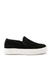 Steve Madden Gills Platform Slip-on Sneaker In Black