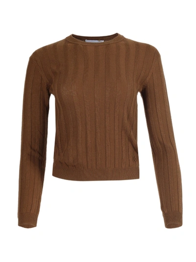 Alexandra Golovanoff Kawai Cotes Knit Sweater In Brown