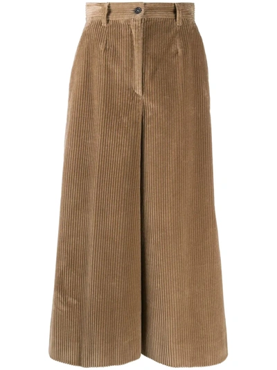 Dolce & Gabbana Wide Flare Leg Ribbed Trousers In Sand