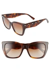 Valentino 53mm Rockstud Cat Eye Sunglasses In Brown/ Havana