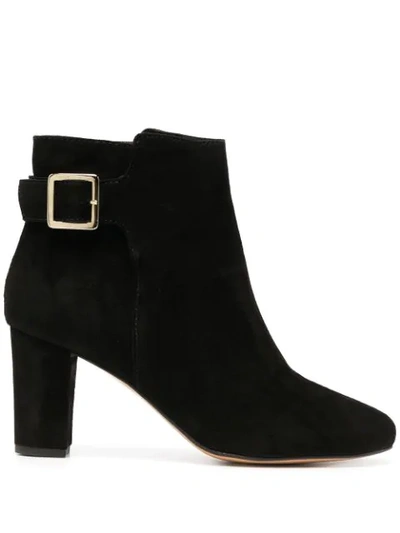Tila March Pimlico Ankle Boots In Black