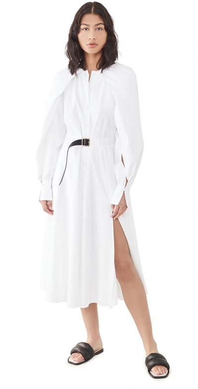 Altuzarra Liana Buckled Leather-trimmed Cotton Dress In Optic White
