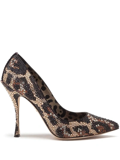 Dolce & Gabbana Brown Leopard Crystals High Heels Pumps Shoes