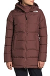 The North Face Gotham 550 Fill Power Down Hooded Parka In Marron Purple
