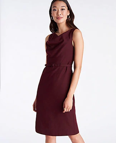 Ann Taylor The Belted Cowl Sheath Dress In Mauve Rose