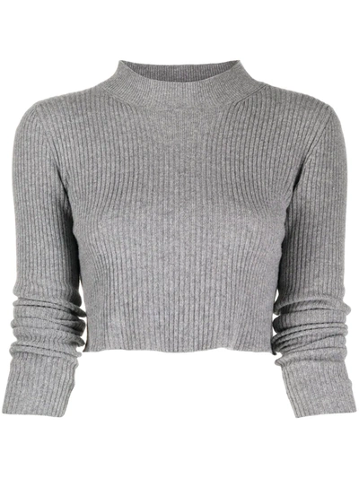 Andamane Ribbed-knit Cropped Jumper In Grey