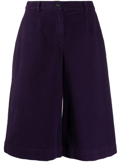 Stefano Mortari Wide-leg Culotte Trousers In Purple