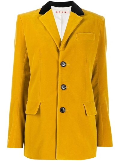 Marni Contrasting Collar Blazer In Yellow