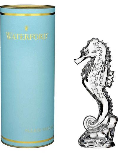 Waterford Giftology Seahorse Collectable 18.4cm