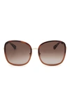 Kate Spade Paola 59mm Gradient Square Sunglasses In Dark Havana/ Brown Gradient