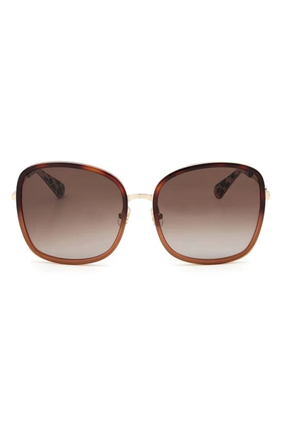 Kate Spade Paola 59mm Gradient Square Sunglasses In Dark Havana/ Brown Gradient