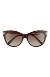 Tom Ford Kira 56mm Polarized Cat Eye Sunglasses In Dark Havana/ Rose Gold/ Brown