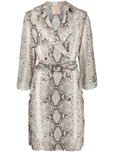 Pre-owned Lanvin Snakeskin Print Double-breasted Trench Coat In Neutrals
