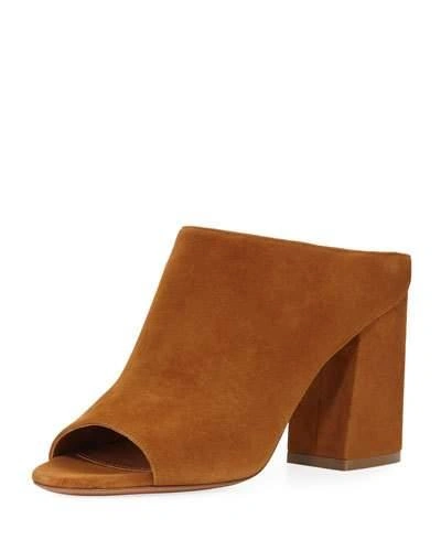 Givenchy Paris Suede Mule Sandal, Hazelnut