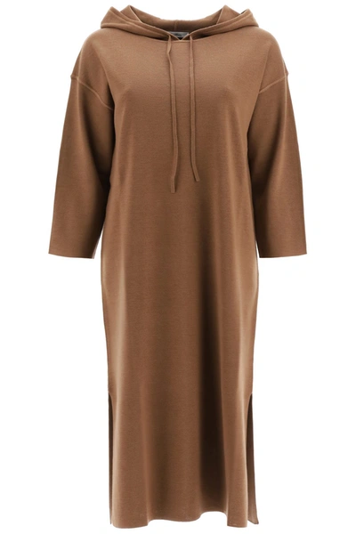 Max Mara Lerici Jersey Dress With Hood In Tabacco