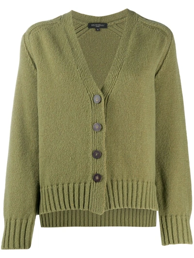 Antonelli Textured Knit Cardigan In Green