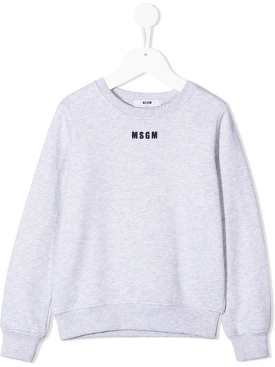 Msgm Kids' Tasselled Logo Print Sweatshirt In Grey