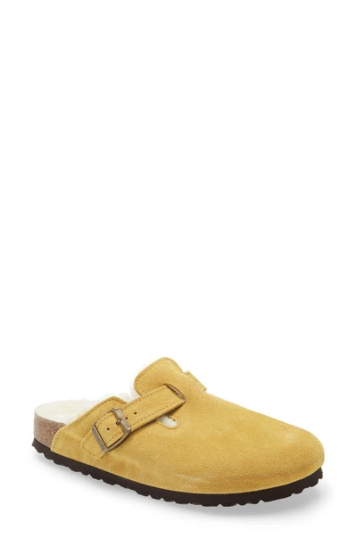 Birkenstock Boston Genuine Shearling Lined Clog In Ochre Suede