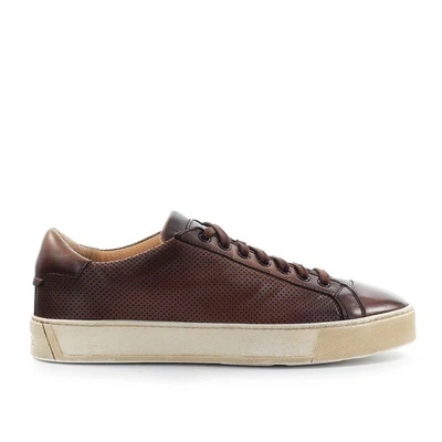 Santoni Brown Leather Sneaker