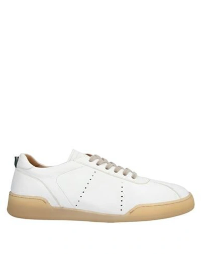 Green George Sneakers In White