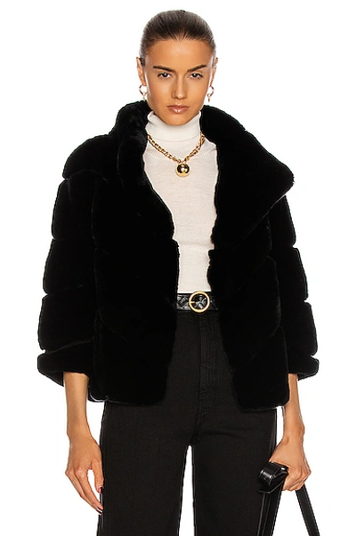 Yves Salomon Rex Rabbit Band Jacket In Noir