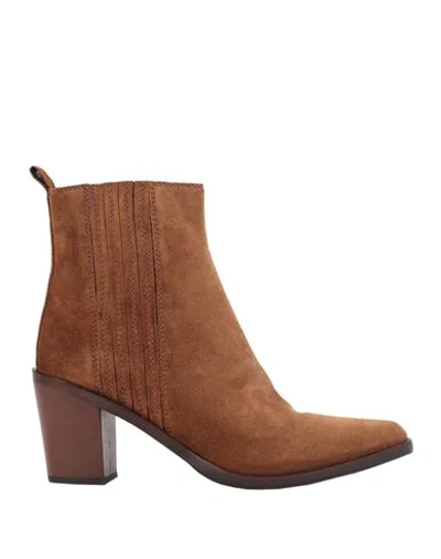 Bruno Premi Ankle Boots In Brown