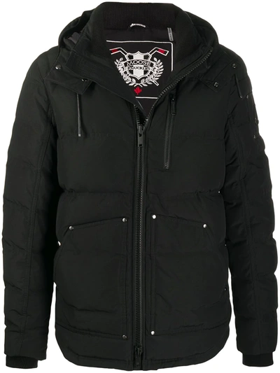 Moose Knuckles Hooded Down Padded Coat In Black